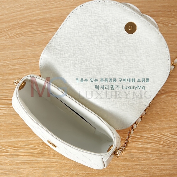 * 23P ̴ ޽  AS3867-A-1