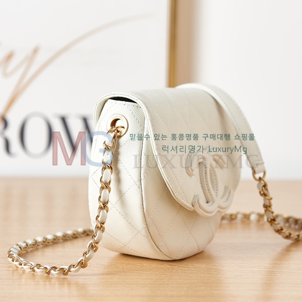 * 23P ̴ ޽  AS3867-A-1