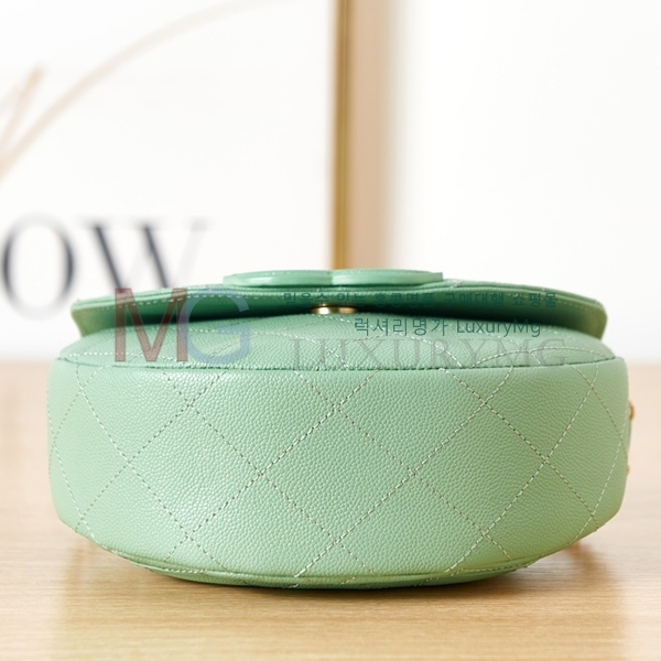 * 23P ̴ ޽  AS3919-A-4