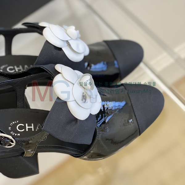 *   CH602280-1