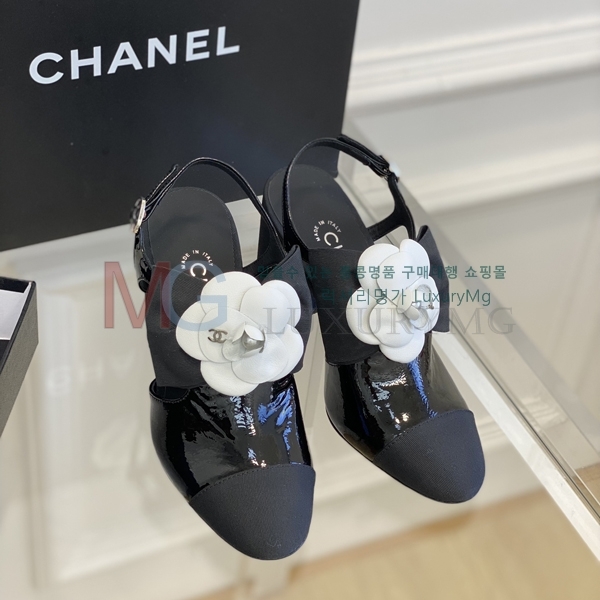 *   CH602280-1