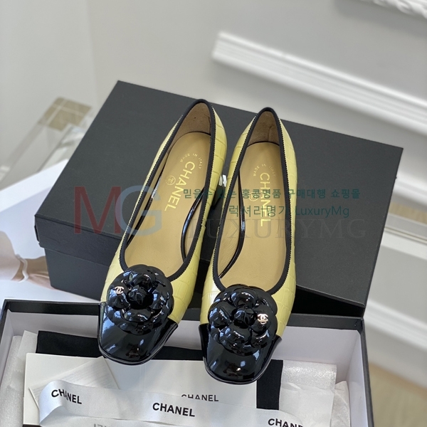 *  CH602285-1