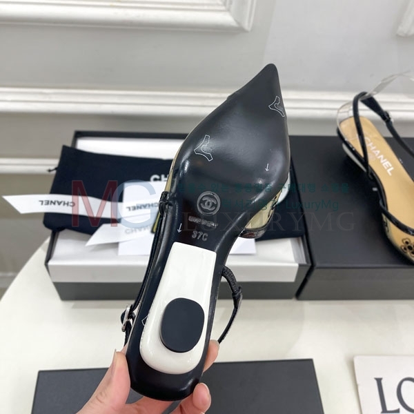 ��* ���� ������ CH64154-3(4CM)