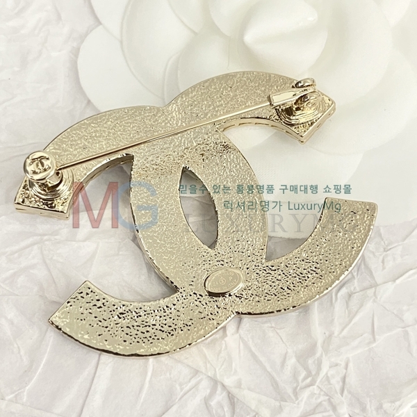 * ġ G100631