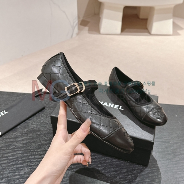 ��* ���� �÷����� KX681526-3