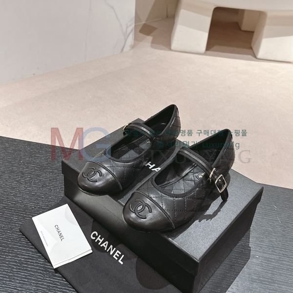 ��* ���� �÷����� KX681526-3