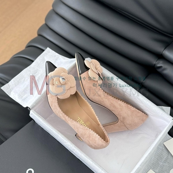 ��* ���� ������ CC577046