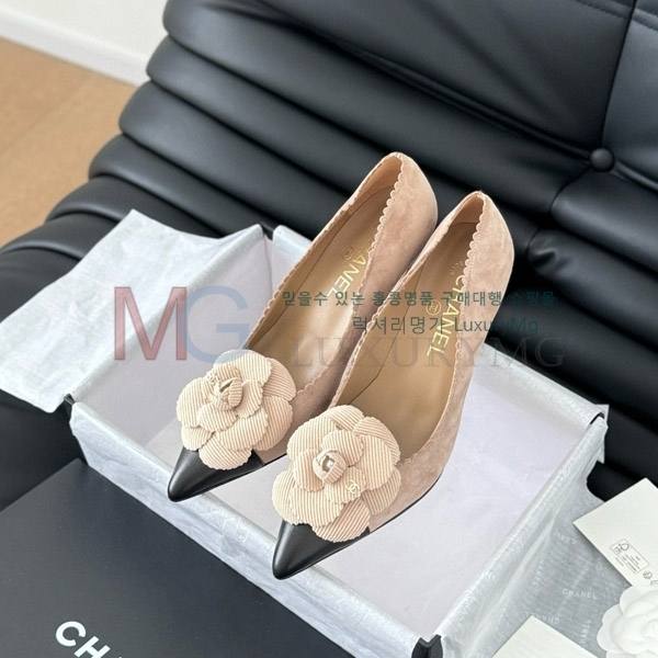 ��* ���� ������ CC577046