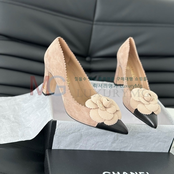 ��* ���� ������ CC577046