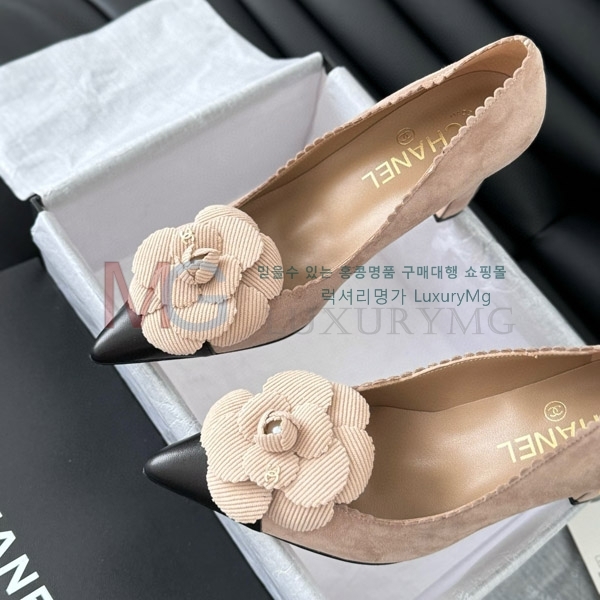 ��* ���� ������ CC577046