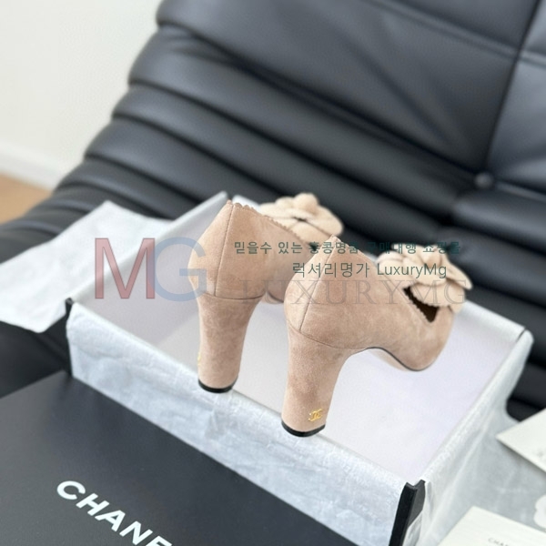 ��* ���� ������ CC577046