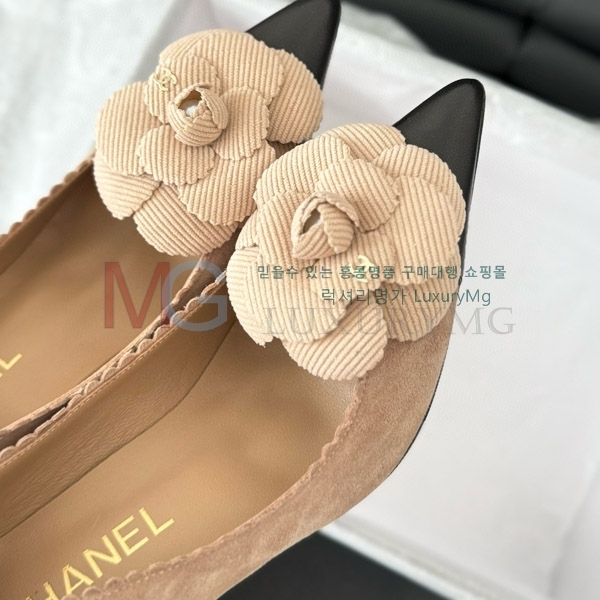 ��* ���� ������ CC577046