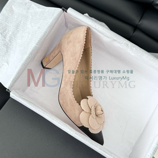 ��* ���� ������ CC577046