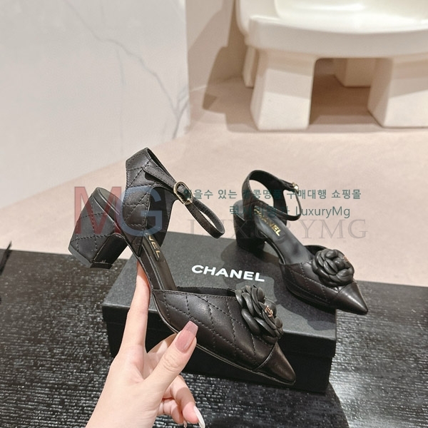 *   CH5044407-1
