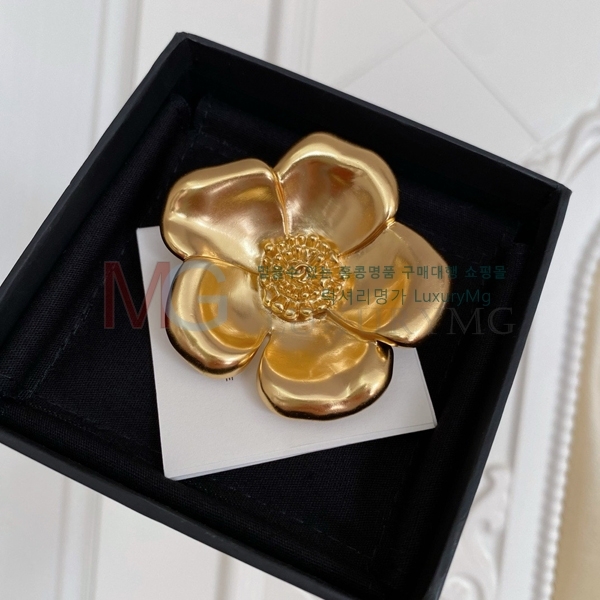 * ġ G1006721