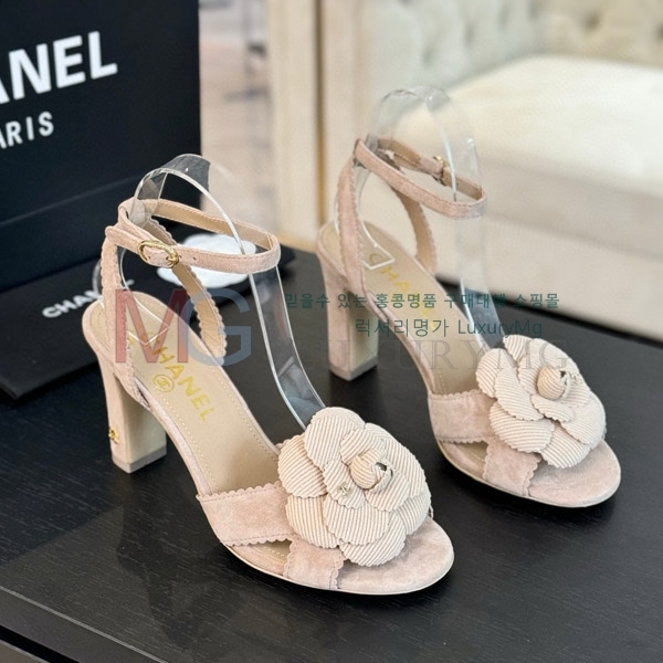 ��* ���� ������ ���� CH5111028-1