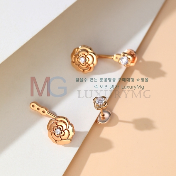* Ͱ G12251611