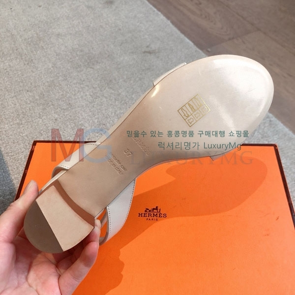 ޽  H405801-2