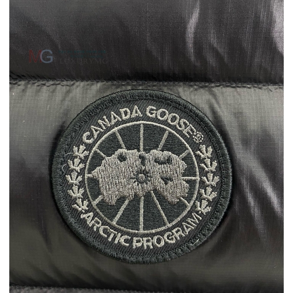  ĳٱ ٿ е  CG2645167-2