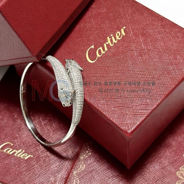 �������� ��쿡 ���� CT545402-13