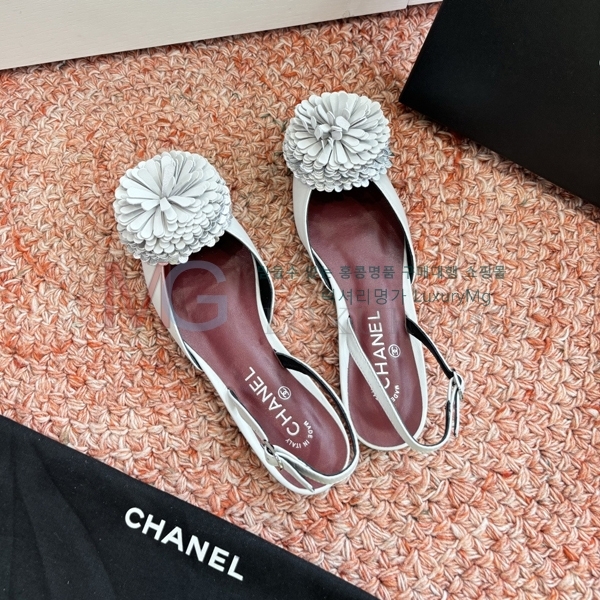 ���� ��* ������ ���� R7T137231-1