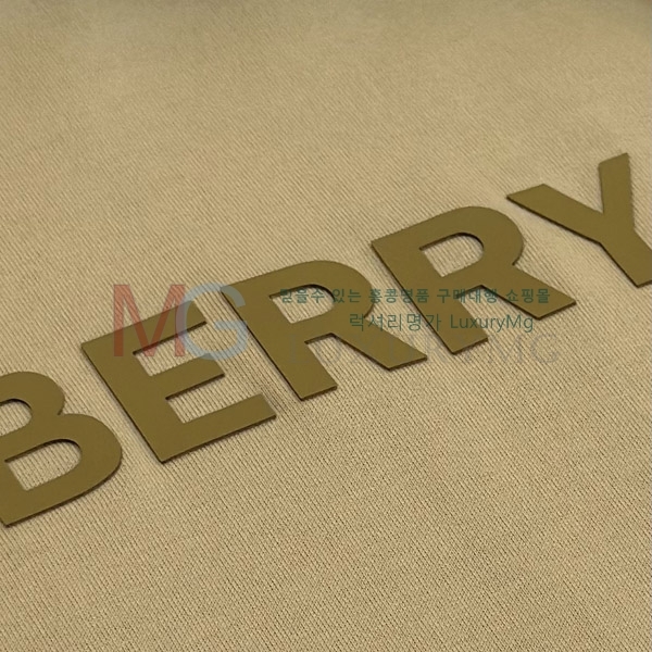 �������� ������ ����Ƽ 4524326-2