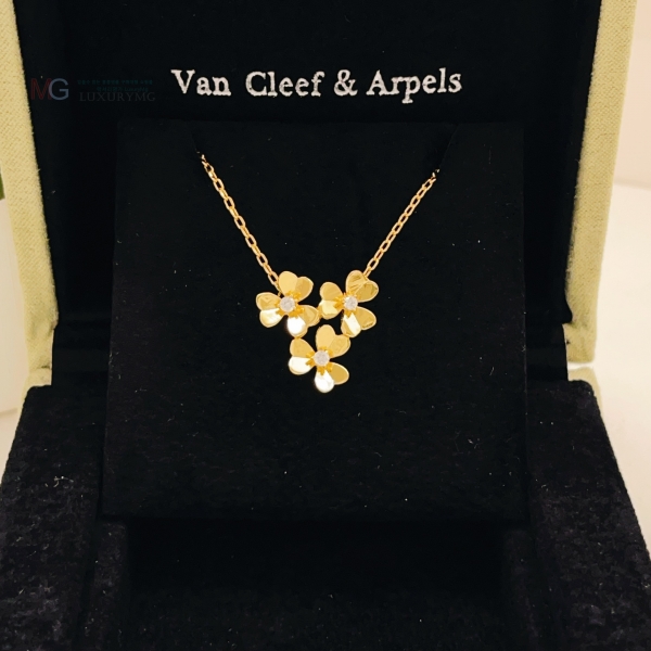 ���� ��Ŭ���� �� ���� ����� VCA03463-1